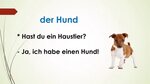 Hast du ein Haustier? - YouTube